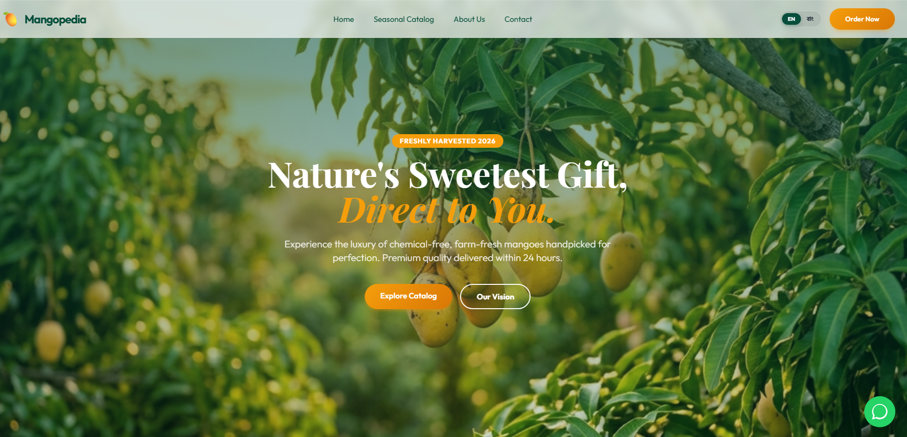 Mango Pedias - Premium Mango Website Screenshot